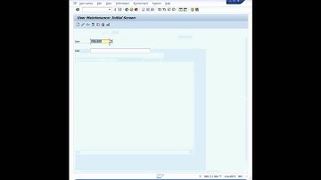 SAP CUA - Central user administration in under 2 min!
