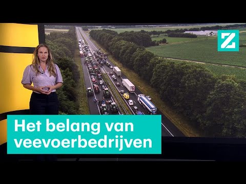 Dit zijn de grote financiers van de boerenprotesten ? Z zoekt uit