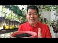 FAST & EASY: PAGGAWA NG CHR (Carbonized Rice Hull) (with ENG subs)