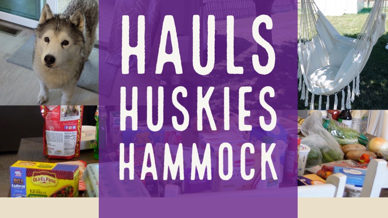 Walmart and Aldi Haul Hammock Installation Husky Debut YouTube
