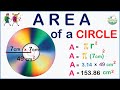 Understanding the Area of a Circle