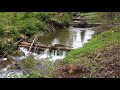 How to make wooden log dams ?