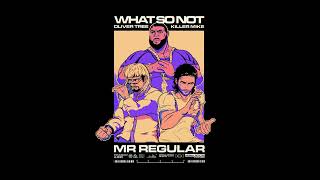 What So Not - 'Mr Regular (feat. Oliver Tree, Killer Mike)' (Official Audio)