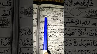 wow 😳😲 so beautiful recitation of Quran #egzonibrahimi #love #quran #islamicprayer #fussilat🌹💐🌹💐🌹💐🌹💐