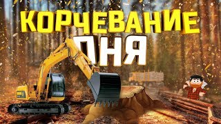 Корчевание ОГРОМНОГО Пня На Участке Экскаватором. How to uproot a stump?!