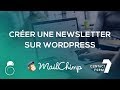 S'inscrire à la Newsletter sur WordPress : Mailchimp & Contact Form 7 - Hacking SEO