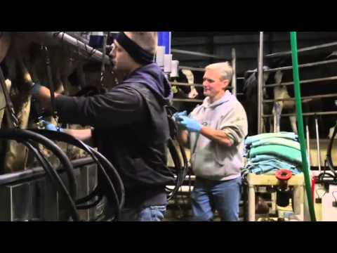 minnesota-2013-dairy-farm-family-of-the-year