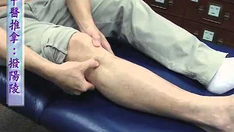 《信報視聽頻道》治未病：撥陽陵助清除肝火 - 天天要聞