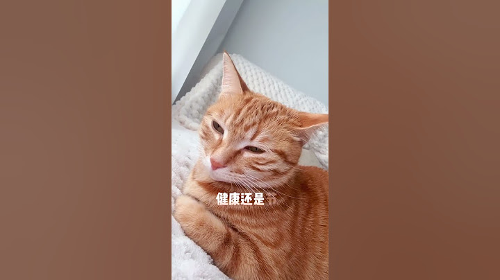真的不是嫌我没用嘛？？！ #创作灵感 #猫咪的迷惑行为 #橘猫橘猫 #傻憨憨的小猫咪 #猫動画