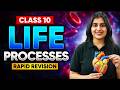 Life Processes in Just 19 Minutes🔥 | Class 10 Science Rapid Revision | One Shot Boards by Chelsy mam