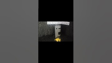 chrysantheium #microscopic universe