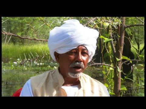 احمد محمد قلباي