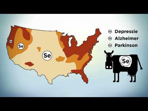 Video: Welke Voedingsmiddelen Bevatten Selenium?