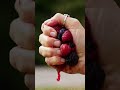 Berry Blast Juicy ASMR CrushAsk ChatGPT mp3