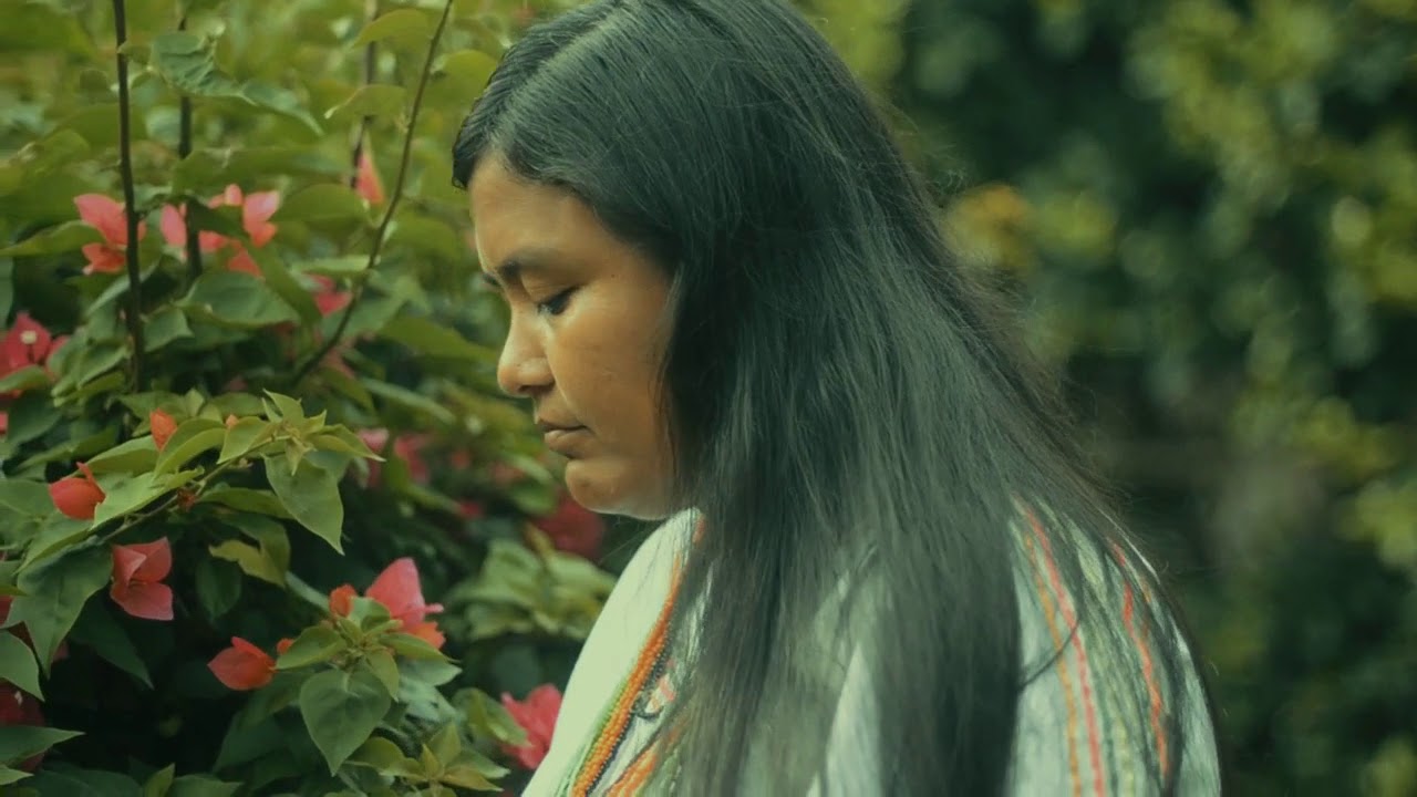 El Alfa y La Omega - Clara Chaparro