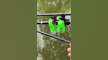 TOP 1 Còi Báo Động Câu Lăng Xê Cá Mè SIÊU NHẠY GIÁ RẺ 2025?  #fishing #shorts