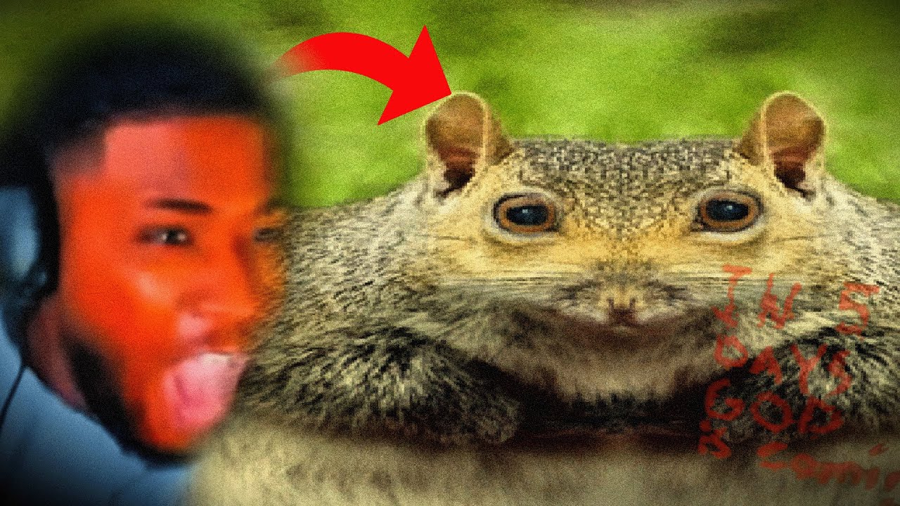 Hunting for the First Time BUT SOMETHING IS HORRIBLY WRONG WITH THE ANIMALS....