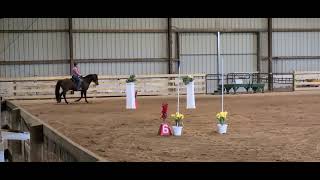 Barb Sullivan & Aluinn Wyatt  Working Equitation  Intro EOH