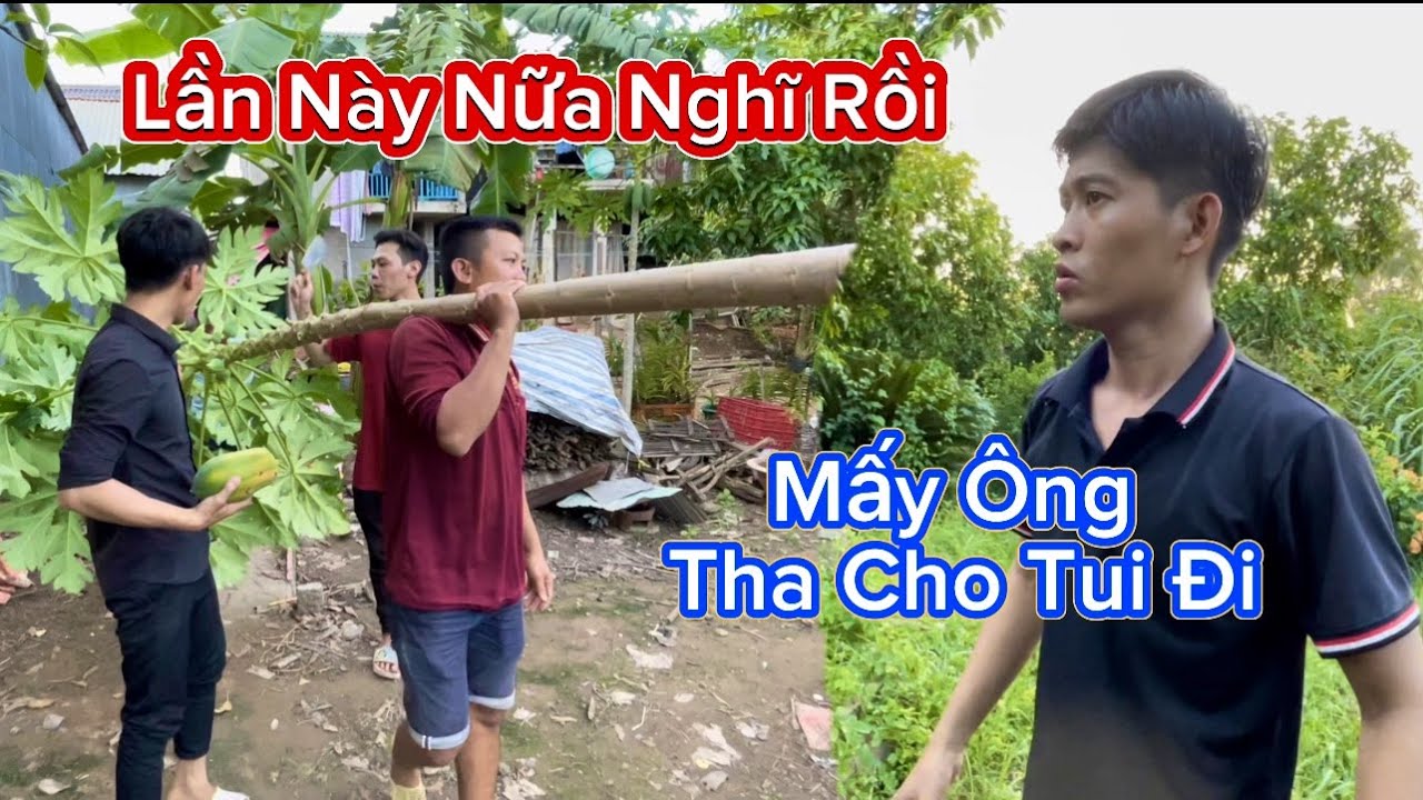 HoàiPhong TV - Phong Tức Điên Khi Chú 2 Nhổ Luôn Cây Đu Đủ Quý @HoàiPhongTV-t4y