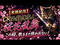 【実機配信】CR 必殺仕事人 桜花乱舞|この桜,散るまで終われない!