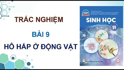 Có các hình thức hô hấp chủ yếu nào