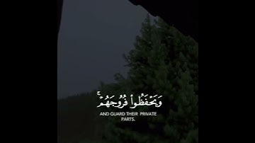 قل للمؤمنين يغضوا من أبصارهم ويحفظوا فروجهم ماهر المعيقلي سورة النور حالات واتس اب