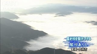 冬の風物詩