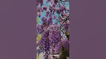 وإن الساعه لآتيه فأصفح الصفح الجميل |سورة الحجر| هزاع البلوشي
