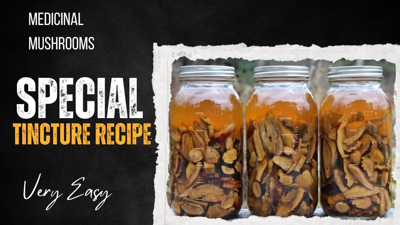 🥃How to make a Dual Extract with medicinal mushrooms 🥃 