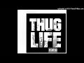 2Pac (Thug Life) - Cradle To The Grave