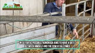 Calving Facilities with Aonghusa Fahy