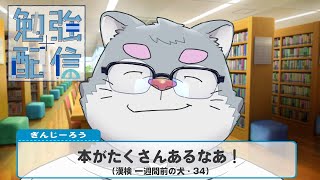 漢検5級 一週間前 / Study with me【勉強/環境音】【ケモノVtuber】