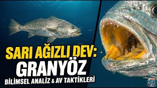 Granyöz Kimdir? Bilimsel Iz Ve Av Rehberi