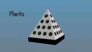 Hydroponics system -  Pyramid - Animated and explained with 3d