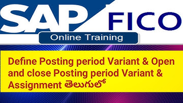 Define Posting period variant / assignment in Telugu