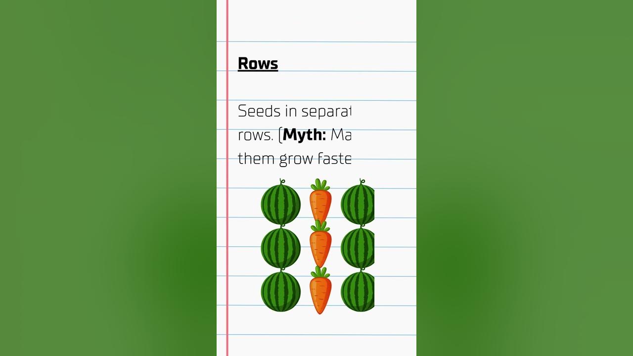 Which Method Of Planting In Minecraft Grows Fastest SUMMARY which-method-of-planting-in-minecraft-grows-fastest-summary