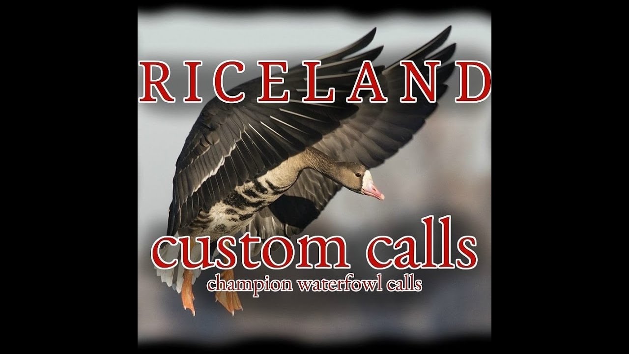 Haiden Richard Speaking about Riceland Custom Calls 5/8's Gut System
