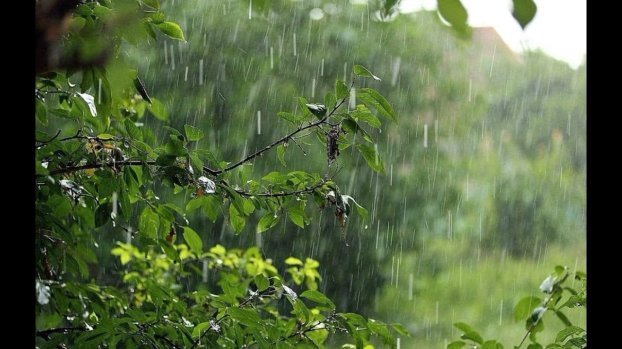 Дождь. Летний дождь. Дождь летом. Звуки природы днем