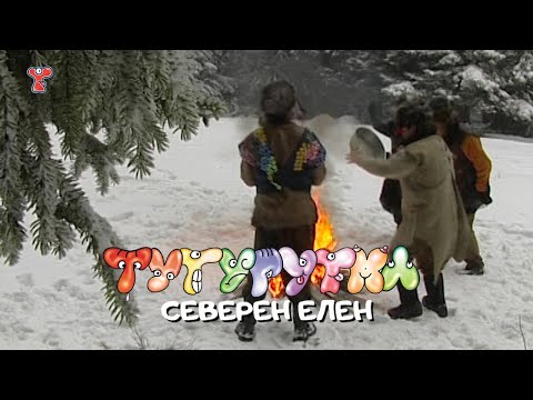 Видео: Северен елен