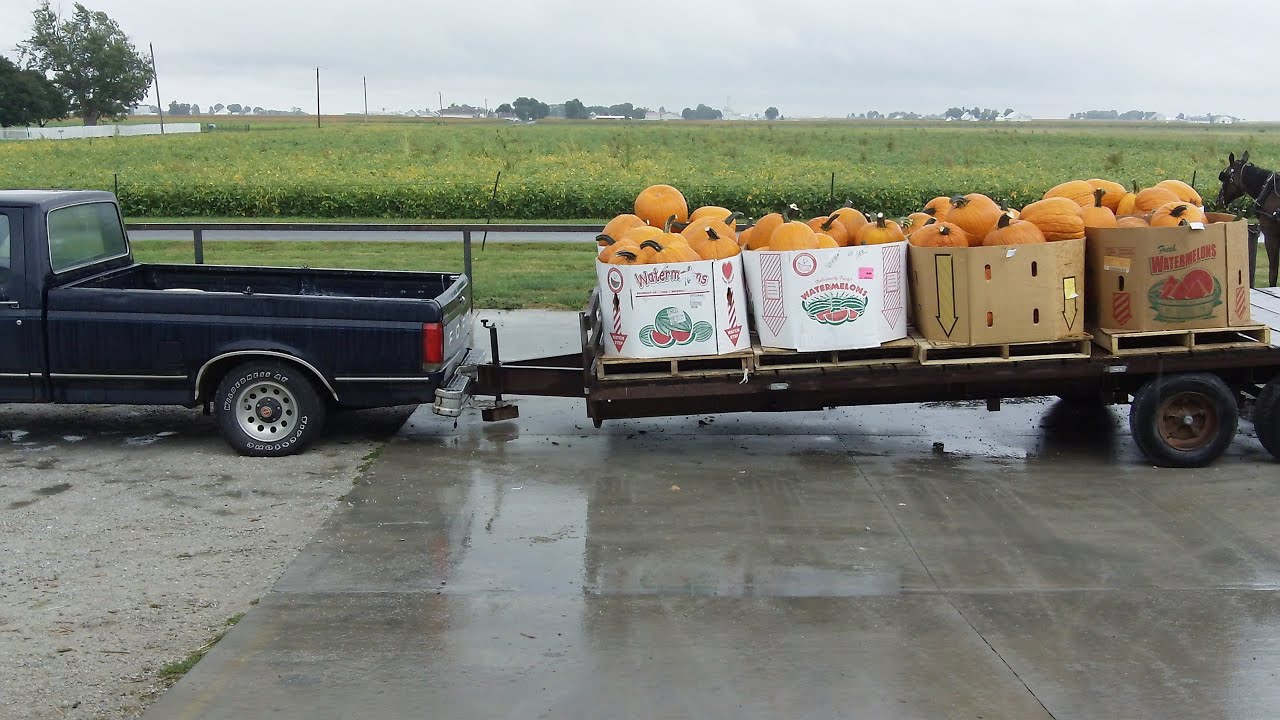 Arthur Produce Auction Hauling Produce Out Part Three YouTube