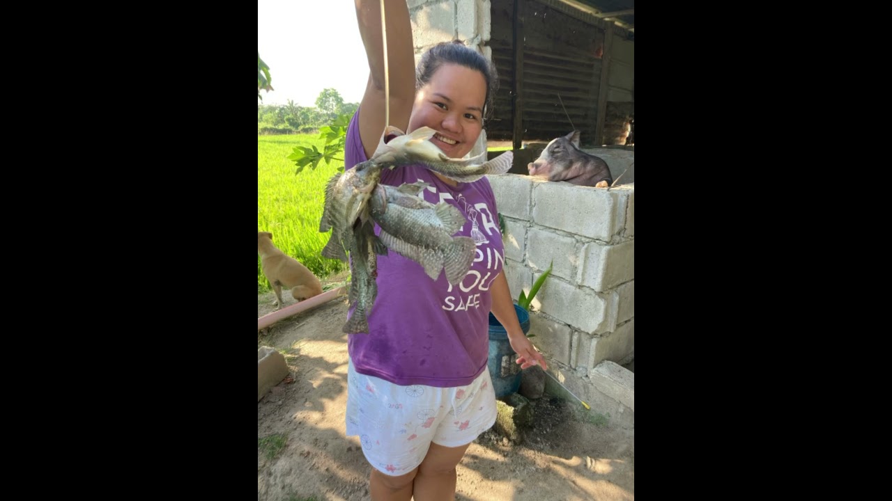 Be Happy Province life 