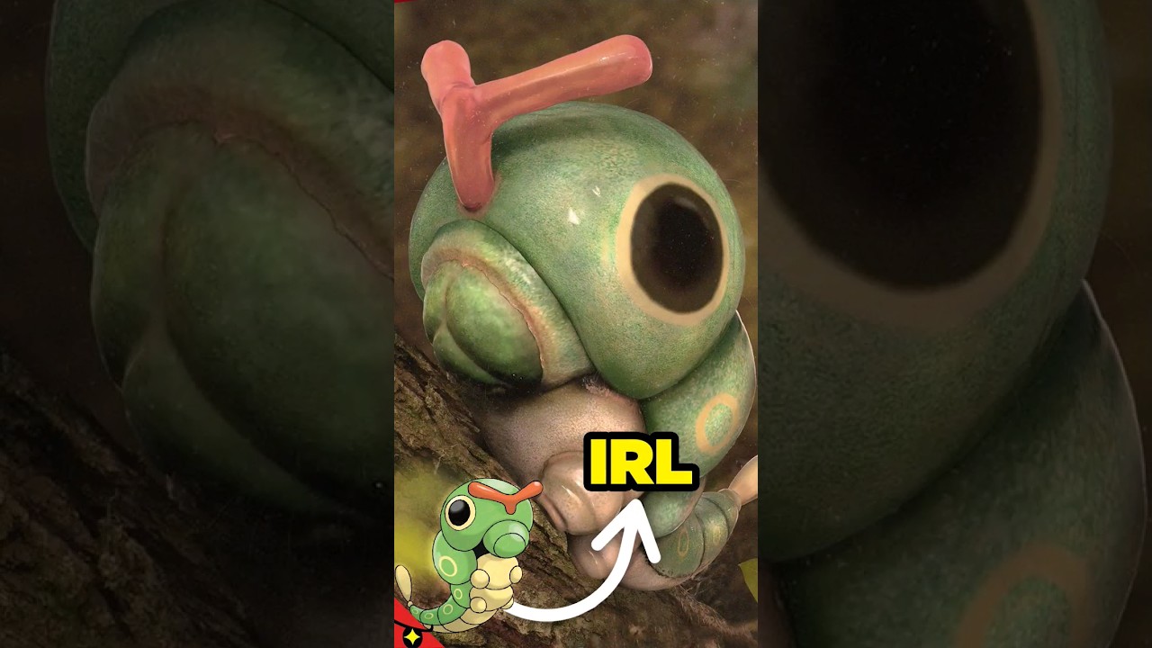 ON A TROUVÉ UN POKÉMON DANS LA VRAIE VIE ! ?