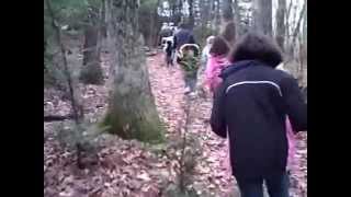 Tannersville Cranberry Bog hike 2008 by Dave Webb 364 views 8 years ago 3 minutes, 17 seconds