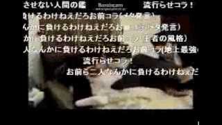 終点　コメ付き