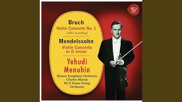 Violin Concerto in D Minor, MWV 03: I. Allegro molto