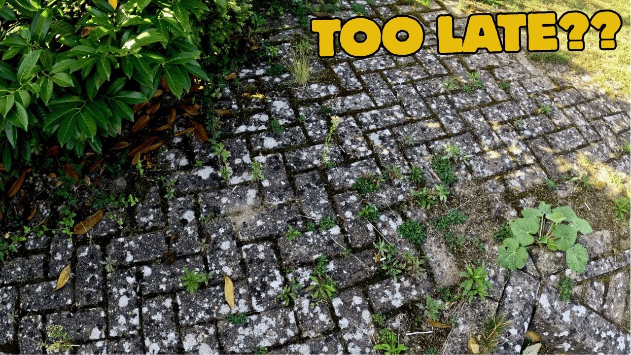 BEYOND SAVING? Or Can I Restore 36 Year Old 