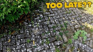 BEYOND SAVING? Or Can I Restore 36 Year Old "NEVER BEEN CLEANED" Paving To Its Former Glory?