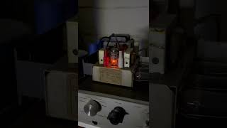 Jesus ~ 12AX7 European Vintage Vacuum Tube