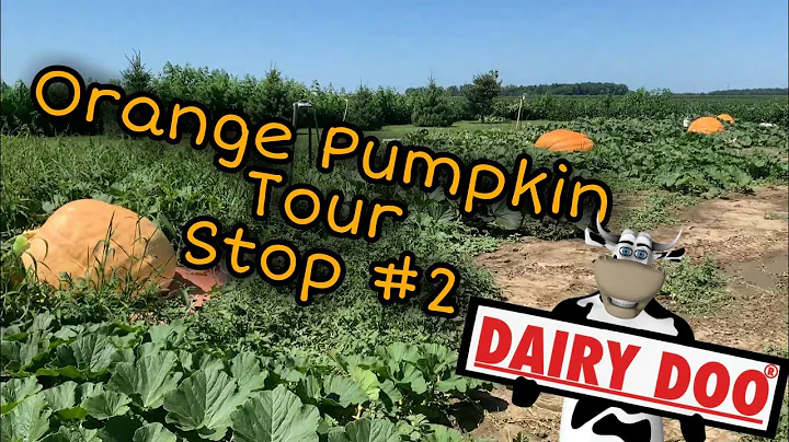 Orange Lovers Pumpkin Patch Tour Stop #2