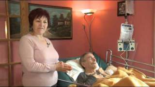 Update - Begging For Homecare - Operation Maple